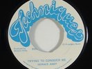 Horace Andy 