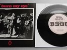 Radio Birdman - Burned My Eye 1987 Total Eclipse Reissue 7