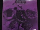 SAHIB SHIHAB Seeds UK Youngblood 1970 Jazz LP *MINT-* Superb & Rare