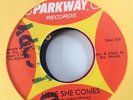 TYMES - HERE SHE COMES / THE TWELFTH OF NEVER - PARKWAY P-933. EX