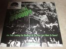 BIG LIZARD STOMP - TEEN TRASH FROM PSYCHEDELIC TOKYO - NEW - LP RECORD