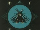 FOX FACE - Spoil + Destroy - Vinyl (LP + insert + MP3 download code)