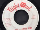 The Cannons / Night Owl  45rpm Record/ Wisconsin Garage Rock