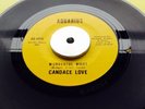 ******** CANDACE LOVE ******* WONDERFUL NIGHT ** VG++ NORTHERN SOUL