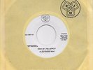 FLEETWOOD MAC  Man Of The World  rare promo 45 from 1969