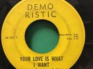 THE RAVINS   Your Love Is What I Want   Demoristic northern soul 45 RARE ORIG