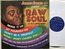 James Brown Sings Raw Soul LP VG+/NM 1967 King Original