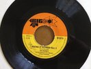 THE PROPHETS Revenge Of Eastwood BIG SHOT BI557 VINYL SINGLE VG Skinhead