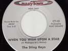 STING REYS - Crazy Town 101 - When You Wish Upon a Star - 1964 DOO-WOP 45 VG/VG+