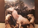 INTERPOL our love to admire,2LP, FOC NEUWERTIG