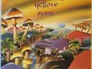 IMAGINING YELLOW SUNS s/t LP Top Psych/Hard Rock on Dr. Dream