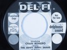 Teen Rocker 45 CHAN ROMERO The Hippy Hippy Shake DEL-FI promo HEAR