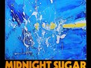 IMPEX | The Tsuyoshi Yamamoto Trio - Midnight Sugar 2LPs (45rpm)