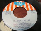 THE CHERRY SLUSH MICHIGAN GARAGE ON U.S.A LABEL I CANNOT STOP YOU / DON'T WALK
