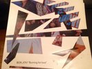 Rare  Bon Jovi - Burning For Love. Double Lp