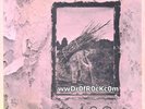 LED ZEPPELIN 1972 STAIRWAY TO HEAVEN ROCK AND ROLL BLACK DOG US 7