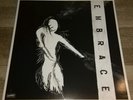 Embrace - Embrace Vinyl LP, hardcore, punk, fugazi, minor threat