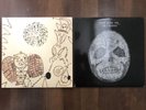 Devendra Banhart Nino/Rejoicing & Bonnie Prince Billy I See A Darkness LPs VG++