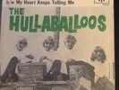 The Hullabaloos I Won't Turn Away Promo 45 Garage Rock With Bonus Sleeve Rare