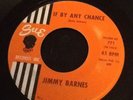 Jimmy Barnes If By Any Chance Maybe Never Sue Records Rare Early Collectible 45