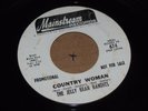 HEAVY PSYCH 45 - THE JELLY BEAN BANDITS - COUNTRY WOMAN - MAINSTREAM PROMO