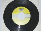 Beat Happening Nancy Sin Sub Pop LABEL ERROR Mudhoney Nirvana Grunge Soundgarden