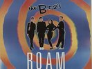 Roam - 3D Sleeve + Glasses B-52s 12