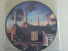 pink floyd lp (picture disc)  animals  issue 062_98434_p mint condition