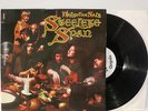 Steeleye Span - Below the Salt LP German Laminat FOC 1972 Chrysalis D WLPromo NM