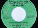 Modern Soul 45 DOWN HOME BLUES BAND Back In My Baby's Arms MID SOUTH HEAR