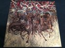 NO MERCY lp WIDE SPREAD BLOODSHED suicidal tendencies BODY COUNT 1987 KBD