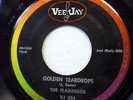FLAMINGOS 45 GOLDEN TEARDROPS / CARRIED AWAY doowop VG++ VEE-JAY reissue Dm262