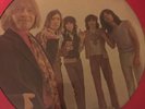 The Rolling Stones Picture Disc LP
