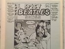 THE BEATLES SPICY SONGS   LP  TRADE MARK OF QUALITY TMQ 71076