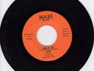 Lynx 45 Follow the Rain/Look at Me HARE M- TX garage psych LISTEN