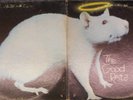 Good Rats, The  Self-Titled    Hard Rock; Garage; Psych  1969 Kapp Label