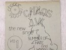 Chaos UK ,Summer of Hate.Very rare punk Single From 1979
