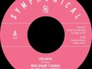 HEAR  Rare Sweet Soul Mike Adame Y Barrio ft. The Chili Peppers 45