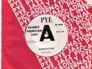 Chris Curtis (Searchers) - Aggravation / Promo