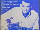 DANNY MICHAELS 45 You Can Have CHAMBERS 210 ORIGINAL 1961 Rockabilly Pop W/PS