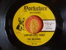 DOLPHINS Surfing-East Coast/I Should Have Stayed 45 rpm YORKSHIRE 1965 GARAGE
