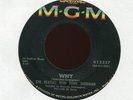 THE BEATLES WITH TONY SHERIDAN Why Cry For a Shadow on MGM 45