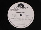 TAMIKO JONES: Can't Live Without Your Love / Same 12 (dj) Soul