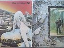Led Zeppelin. IV (Zoso) / V (Houses Of The Holy). 2 LPs. Different Russian issue