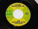 Thirteenth Floor Elevators 7