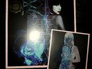 DUM DUM GIRLS Too True - LP + 7