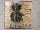 Dinosaur Jr - Bug LP Brown Translucent Vinyl 1988 SST216 Signed by Lou Barlow