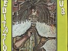 Winston Riley - Meditation Dub JA Techniques LP Listen