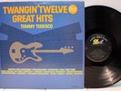 Rare Guitar Instrumental LP - Tommy Tedesco - Twangin' Twelve Great Hits - Dot