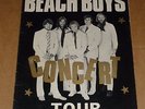 Beach Boys 1968 UK Tour Programme(Barry Ryan/Eclection/Sharon Tandy/Vanity Fare)